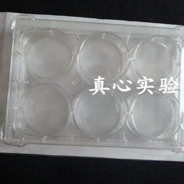 国产细胞培养板6  \   12  \  24 \  96 孔细胞培养板