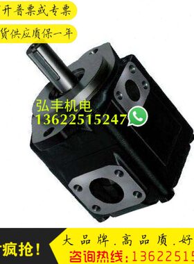 DENISON油泵T6C0101R01B1T6C0101R03B1塑料机械油泵T6C0102R03 B1