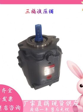 丰兴TOYOOKI变量柱塞泵HPP-VF2V-L63A3-EE-A HPP-VF2V-F63A3-EE-A