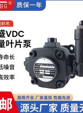 变量油压泵VDC-1A/2A-F20/30/54A/B/C/D-20大流量高压叶片液压泵