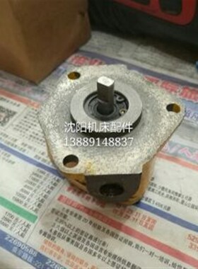 齐齐哈尔铣床 X6132A X5032 X5040 摆线泵 SBRB-3 双向 油泵