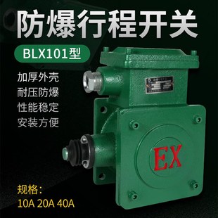 电动葫芦防爆断火限位器隔离起升限位行程开关内芯BLX101 10A 501