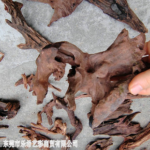 鱼缸造景沉木天然树桩水族箱装 饰小号木晒台木头莫斯木水陆缸造景