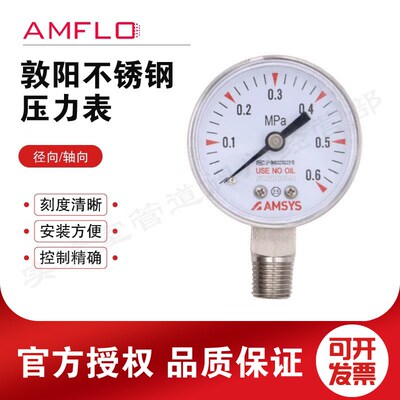 AMFLO敦阳不锈钢压力表G20L G20B G20P 316L不锈钢压力表  25MPA