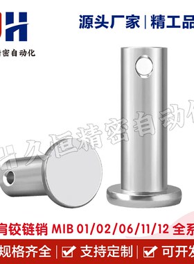 带肩铰链销MIB01 02 06 11s 12 13 14 15 21 31 32-D3 D4 D5 D6 D