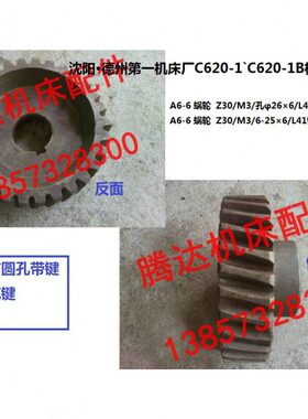 沈阳大连德州机床C620 C620-1`C620-1B车床配件A6-6蜗轮涡轮Z30