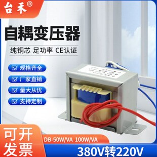 自耦变压器50W100WVA 380V/220V 380V变220V交流变压器380转220V