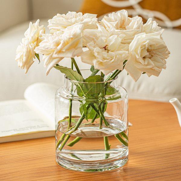 花瓶摆件客厅插花玻璃轻奢高级感透明复古餐桌矮水培玫瑰大肚宽口,家居饰品,花瓶,淘宝优惠券,粉丝福利购,淘宝优惠卷