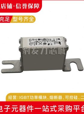 170M1408/1409/1410/1411/1412/1413/1414/1415/1416/17/18熔断器