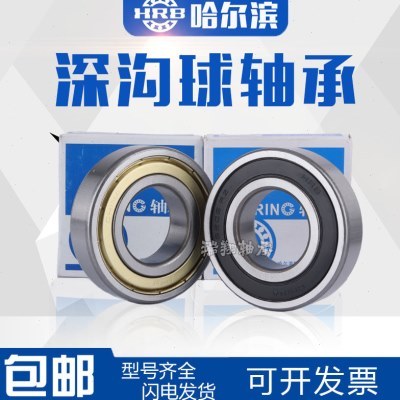 哈尔滨轴承6016 6017 6018 6019 6020 6021 6022 6024 6026RZ 2RS