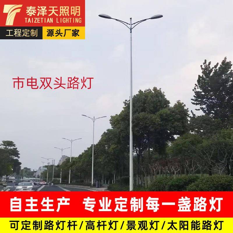 厂家市电路灯 8米10米12米灯杆户外模组led市政工程双臂路灯