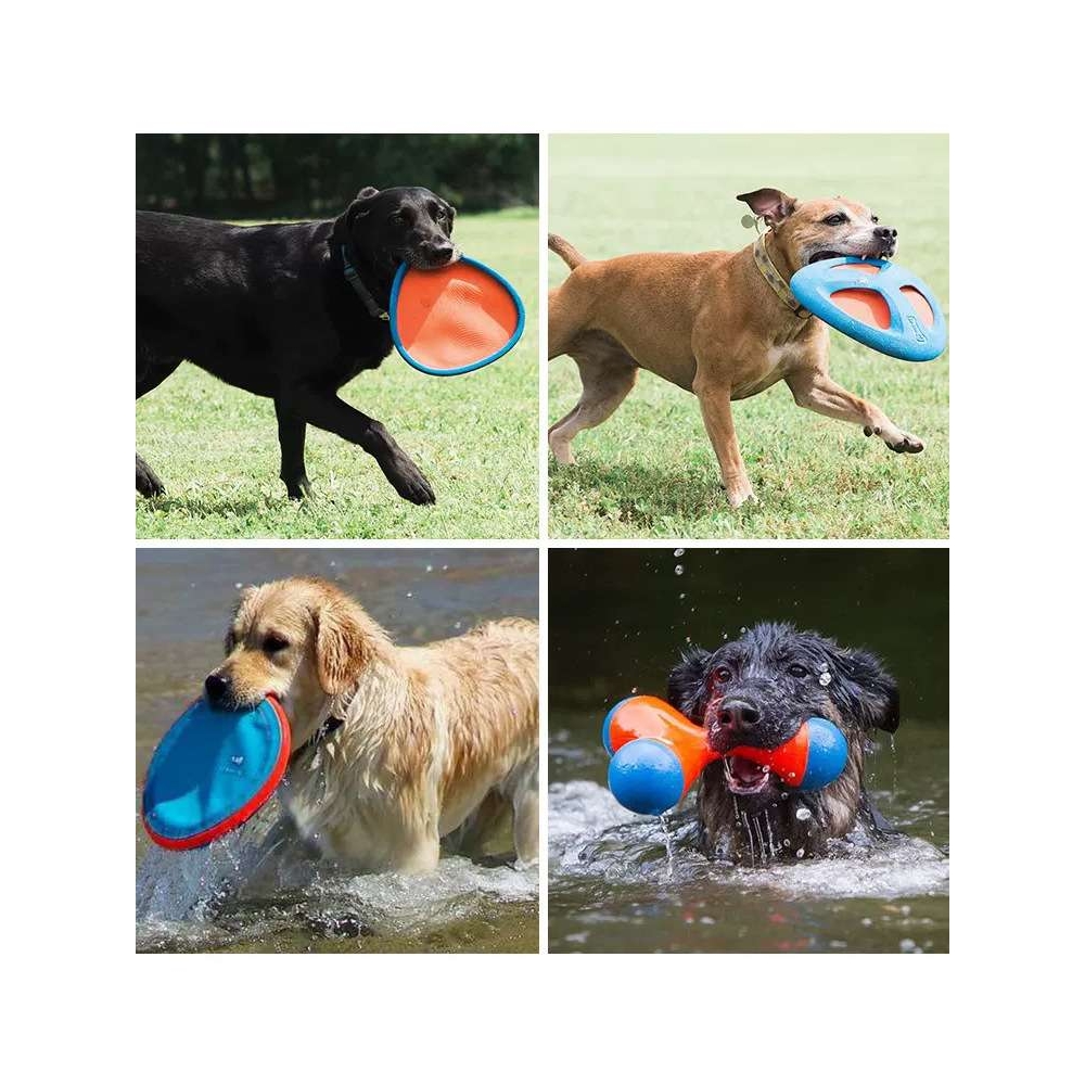 Petmate宠物狗狗户外飞盘幼犬训练金毛边牧飞碟耐咬互动浮赵之李