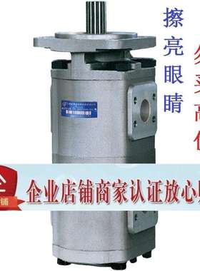 合肥长源双联齿轮油泵CBG2050/2040-BFHR BFPR