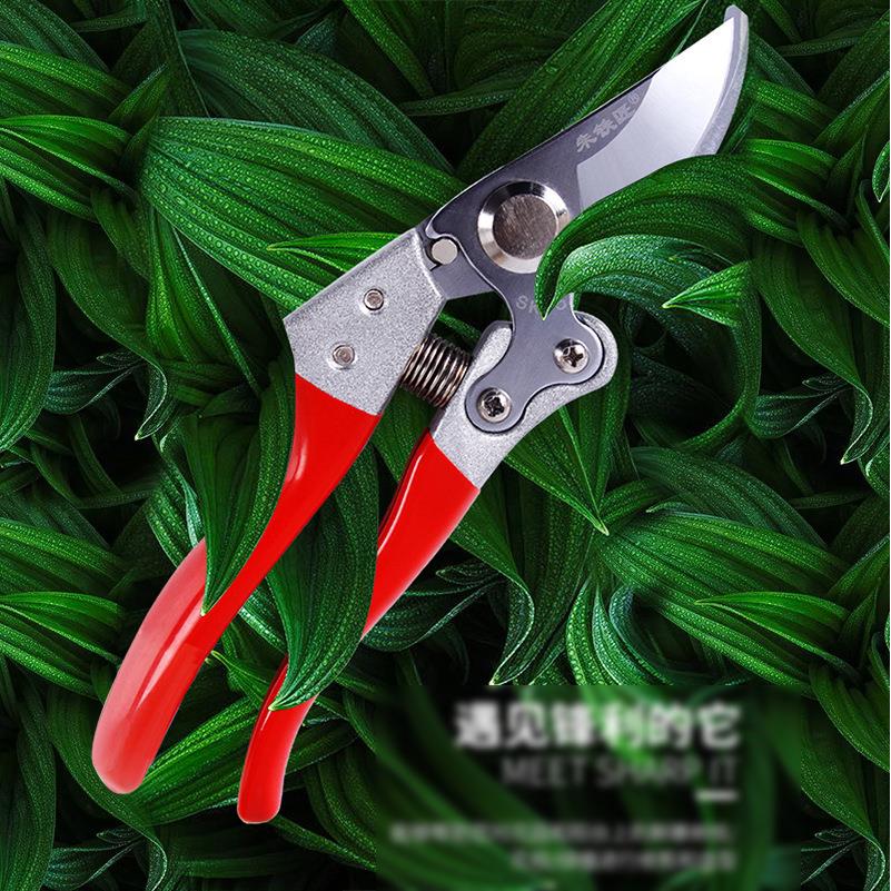 朱铁匠SK-5园林果树修枝剪 红色Z-330鸟嘴型全包塑园艺省力果树剪