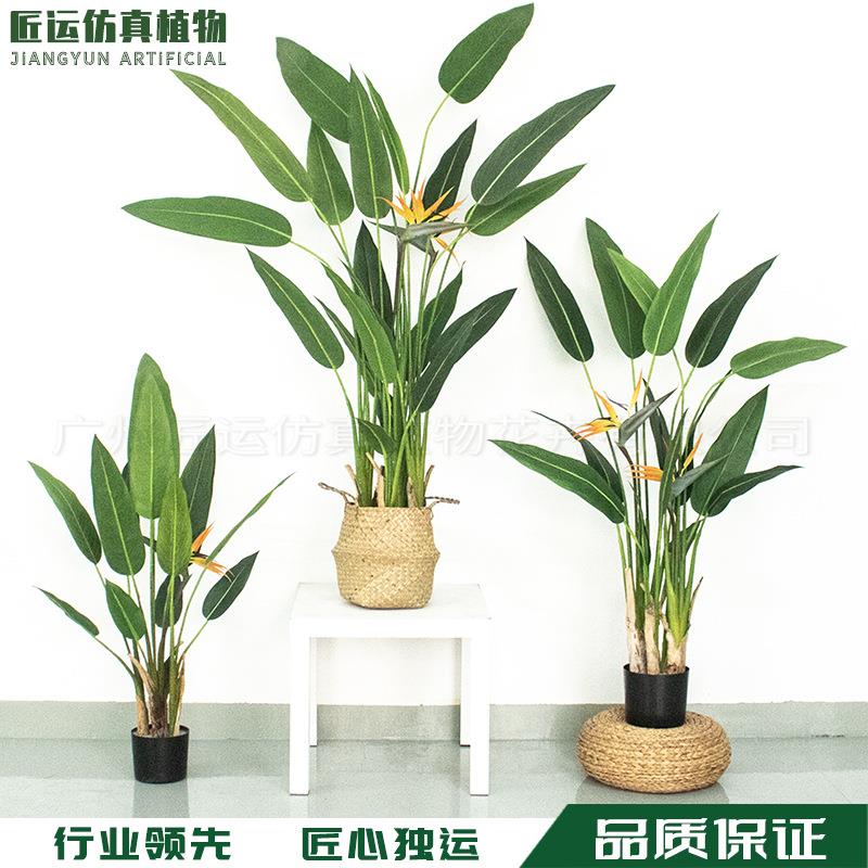 匠运仿真天堂鸟盆景 人造带花鹤望兰绿植 仿真天堂鸟摆件装饰造景