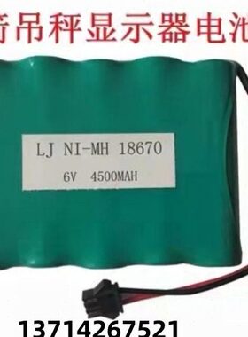 适用浙江蓝箭OCS电子吊磅吊秤仪表电池NI-MH6V4500 5吨10吨电池组