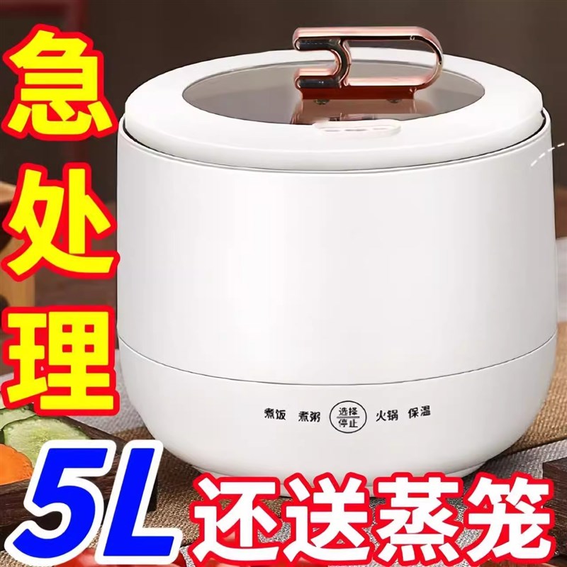 德国迷你电饭煲家用智p能电饭锅多功能全自动学生宿舍电煮锅不粘