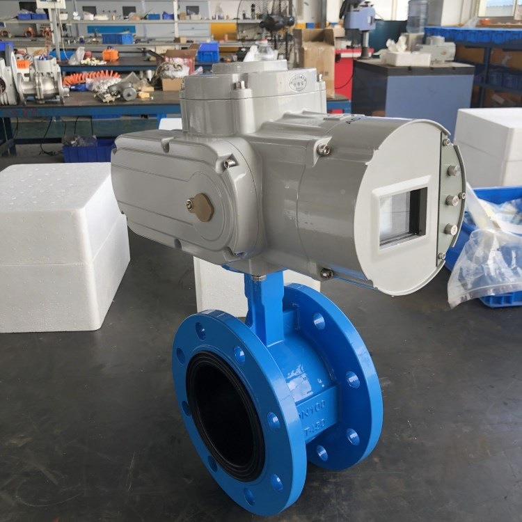 走水软密封动蝶阀D941X-电10QDN65铸铁精小型电执行器动102460NM