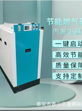 蒸汽发生小型自动加洗全涤XHV熨烫食器品工蒸汽锅炉