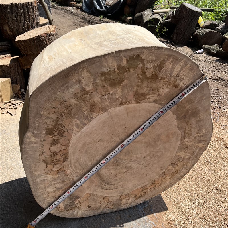 原木大树桩凳子杉木墩子木桩民宿花架摆I件酒店床头柜客厅沙发边