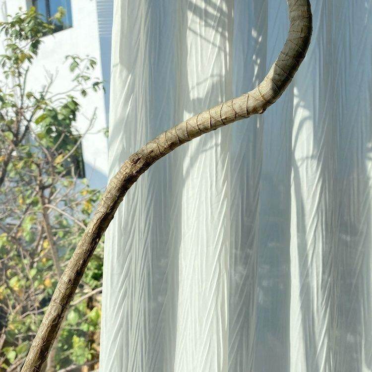 现约代燕尾透光白QRI纱窗简帘,卧室刮阳台防实用,居家布艺,窗纱,淘宝优惠券,粉丝福利购,淘宝优惠卷