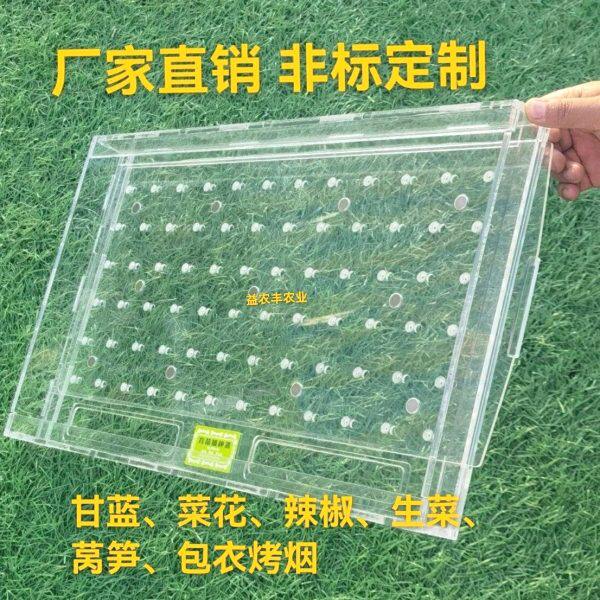 育苗穴盘播种器播种神器漂浮盘播种器圆孔穴盘播种器点籽神器加厚