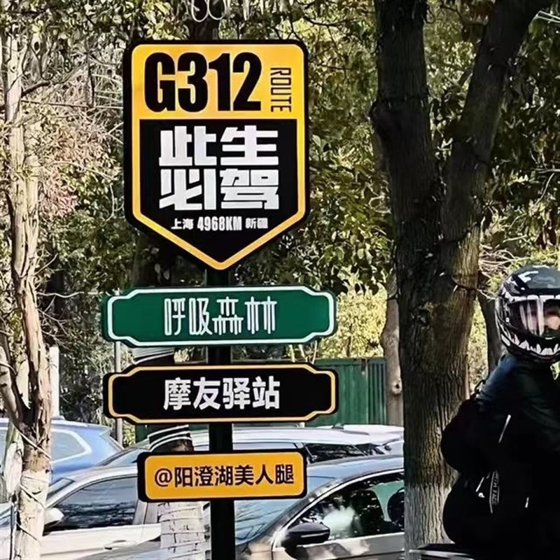 318此生必驾网红拍照打s卡路牌站牌立牌景区指示牌导向标识牌定制