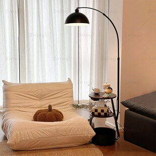 落地灯客厅卧室2024新款 中古奶油风台 钓鱼灯沙发旁H边高级感法式
