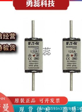 快速熔断器  125NHG02BI   160NHG02BI  200NHG02BI