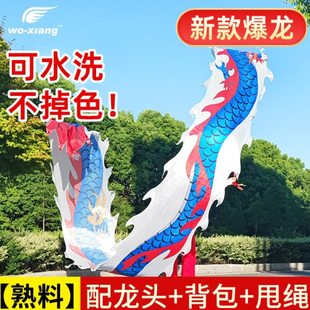 舞龙彩带健身广场舞甩龙中老年人耍龙头运动健身龙彩带8米中国龙