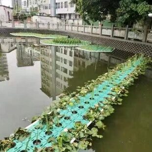 生态浮岛浮盘人工绿化种菜种植蔬菜水上组合水生景观造景植物浮床