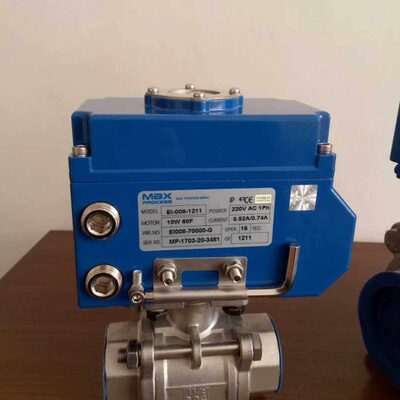 MaX电动头电动执行器EI-008-1211 EIQ008-70000-G EIL-08
