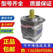 IPVP6 101 IPV6 德国福伊特VOITH油泵 125 100 601齿轮泵