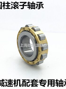 无外圈圆柱滚子轴承RN219 222 228 328 336M