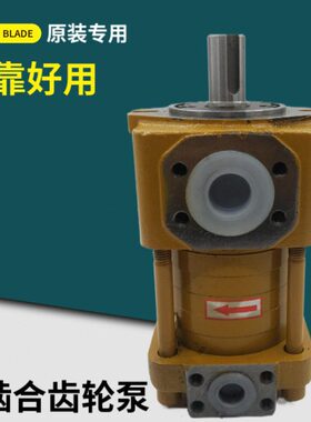 上海NT2/3/4/5-D32 G16F 100F 125F 80F 63F 40F 50F内啮合齿轮泵
