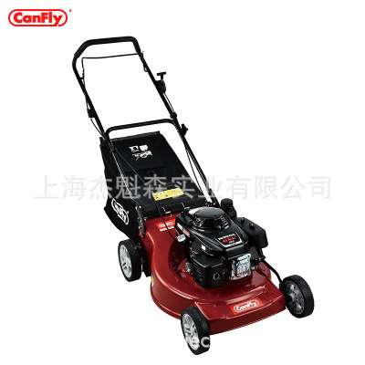 康飞canfly 160A手推式草坪机 园林机械割草机 绿化修剪机打草机