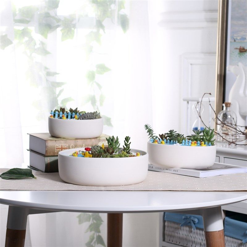 大号口径简约白色圆形陶瓷花盆多肉植物组合拼Q盘水养铜钱草水仙