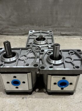 齿轮油泵CBN-F310 CBN-F306 CBNF-304 CBN-F314 F316 F320 F325