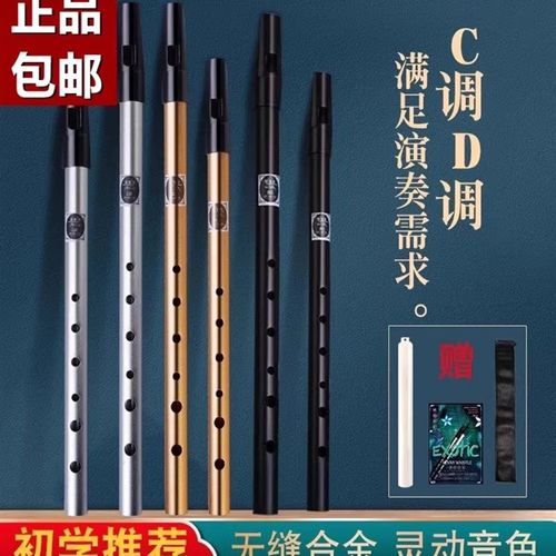 爱尔兰哨笛初学者入门金属s哨笛6孔C/D调高音金属专业直竖笛子乐