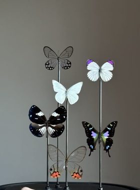 清新自然色系组合玻璃罩成品家居复古摆件