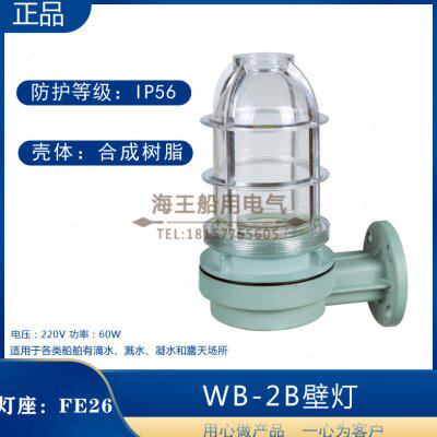 船用塑料白炽壁灯WB-2B壁式安装220V60W合成树脂防水灯机炉舱灯