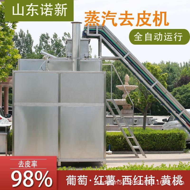 全自动苹果蒸汽去皮机根茎类果蔬去皮设备黄桃物理爆皮机加工