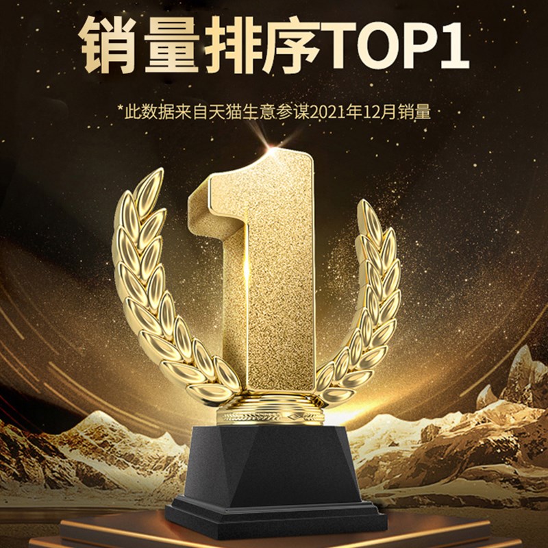 德国进口滚针滚轮轴承NUTR1542 1747 205D2 2562 3072 45 50  PP