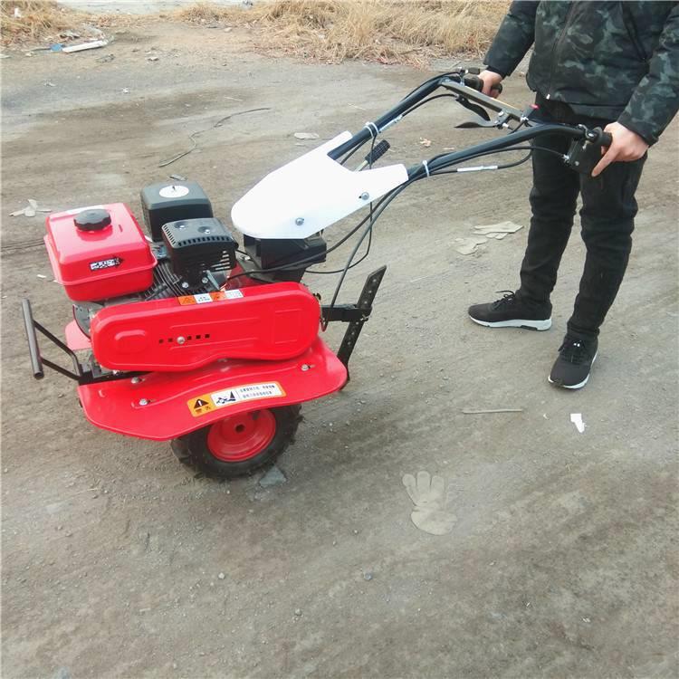 农用轻便微耕机 四驱硬地松土打田机 果园施肥开沟旋耕机