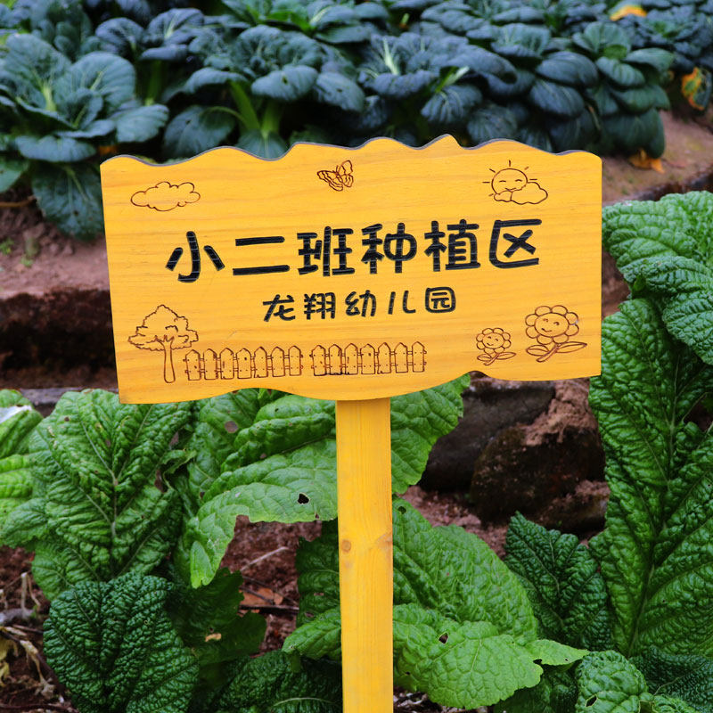 实木园艺花草提示牌种植区标识牌农场户外警示牌幼儿园菜园插地牌图片