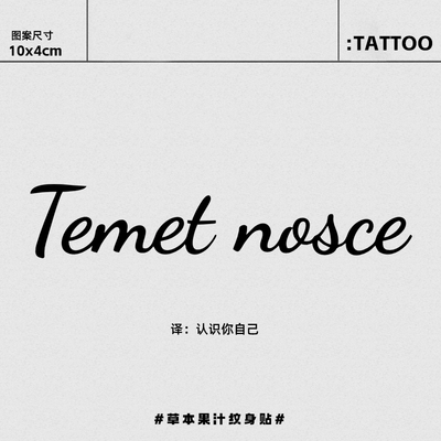 草本半永久防水英文纹身贴
