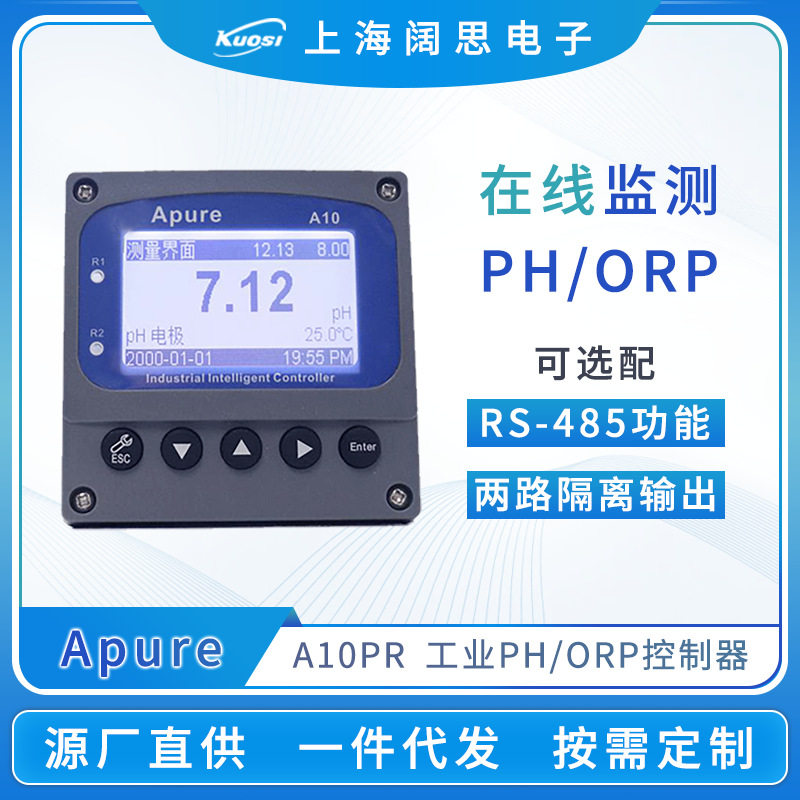 定制ph计酸度计A10PR工业ph值检测仪控制器记录ph测试仪表仪器