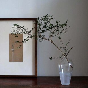 玻璃梅瓶透明中式花瓶 磨砂云雾日式禅意花器 雾面花道具花艺器具