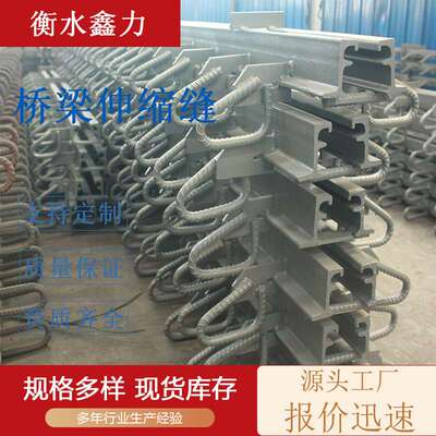 公路桥梁伸缩缝装置人行道毛勒伸缩缝模数式异型钢伸缩变形沉降缝