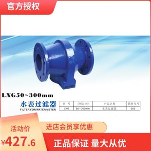 埃美柯053 水表过滤器LXG-50-300mm DN50 80 100 150 200